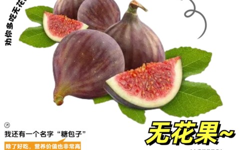 木贼的功能主治-木贼的主治病症网- 木贼的属性与归经及功效知识,分享木贼中药百度百科