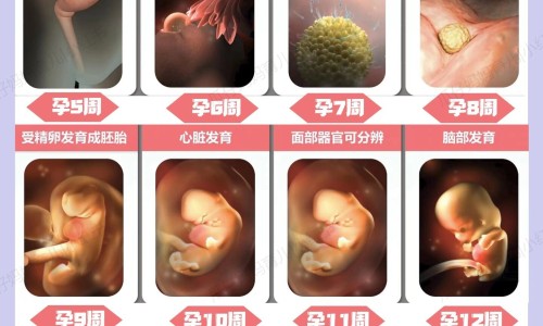木贼的主治病症网- 木贼的属性与归经及功效知识,分享木贼中药百度百科